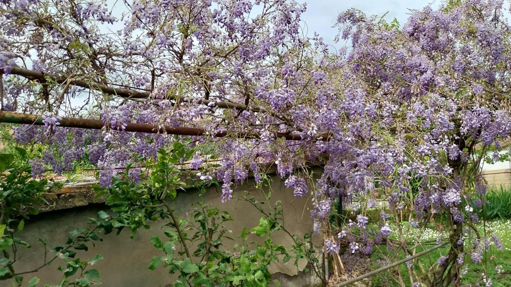 圣塔·卢斯Casa Di Giulia公寓 外观 照片